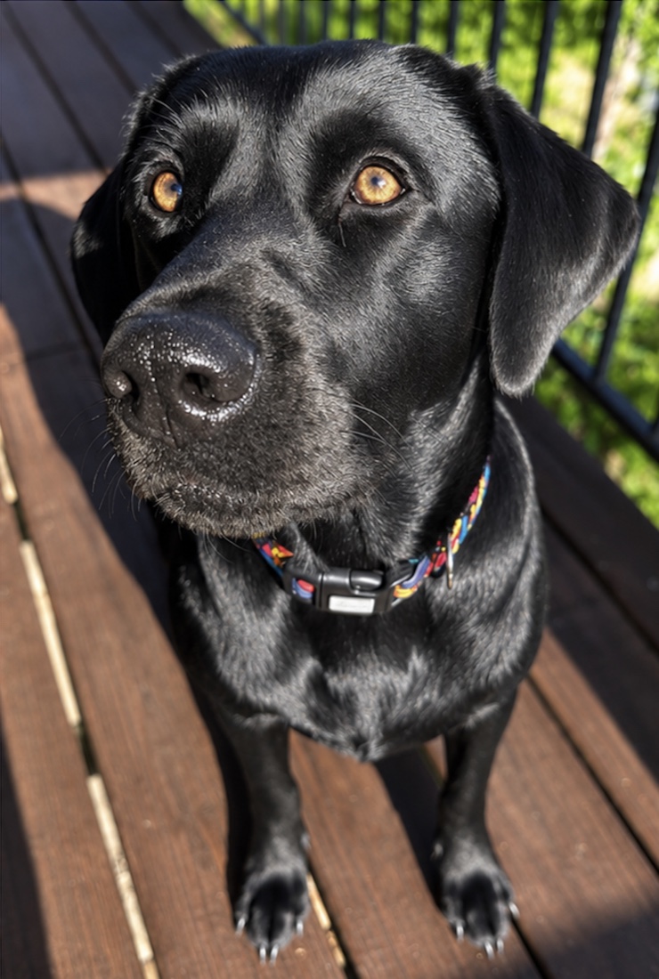 Luna